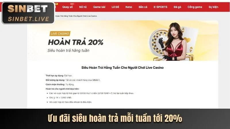 Hoàn trả hàng ngày cho cá cược thể thao FV99